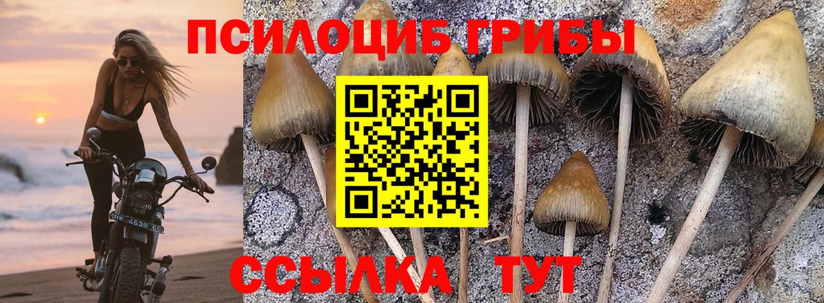 Псилоцибиновые грибы прущие грибы Октябрьский